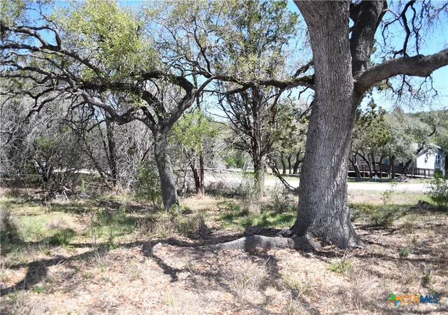 Photo 4 of Land for sale at 1361 Hidden Valley Dr, Spring Branch, TX 78070 | MLS# 609499 | Listing updated on 2026-09-03