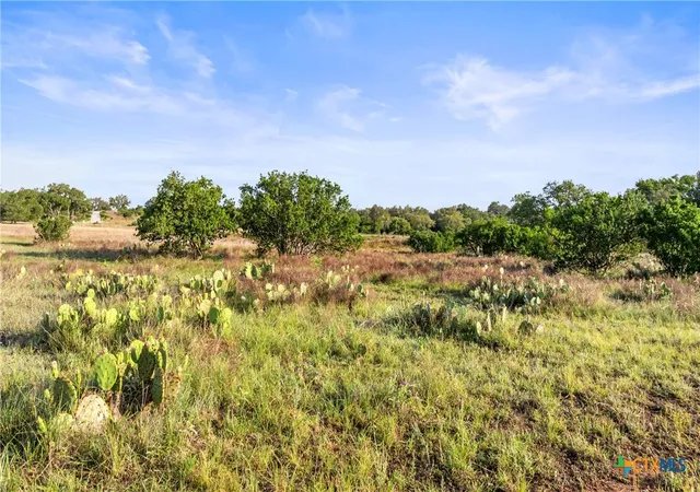 Photo 1 of Land for sale at Lot 3 Vista Ridge Dr, Round Mountain, TX 78663 | MLS# 610548 | Listing updated on 2026-09-10