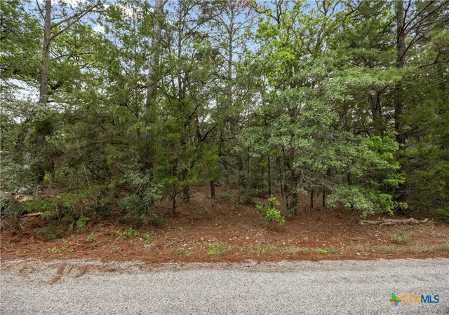 Photo 4 of Land for sale at Tbd Commanche Dr, Smithville, TX 78957 | MLS# 610836 | Listing updated on 2026-09-08
