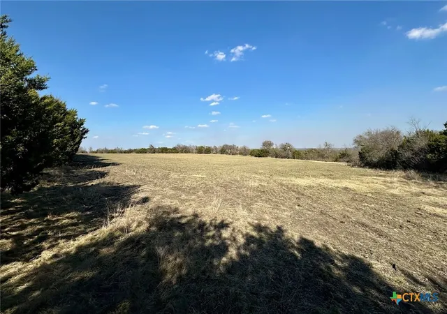 Photo 3 of Land for sale at Tbd Cr 299, Gatesville, TX 76528 | MLS# 610498 | Listing updated on 2026-08-10