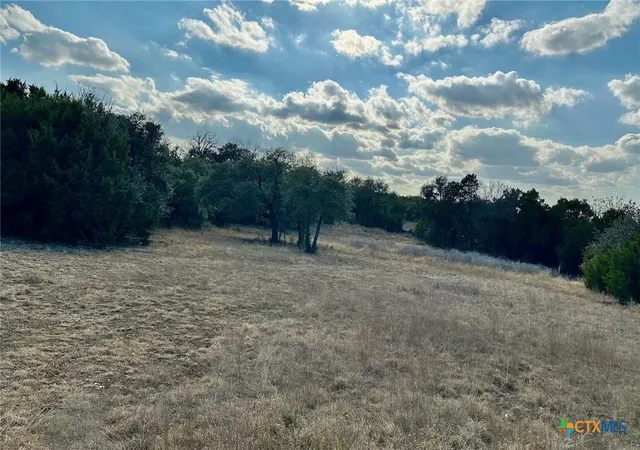 Photo 3 of Land for sale at Tbd Cr 299, Gatesville, TX 76528 | MLS# 610498 | Listing updated on 2026-08-10