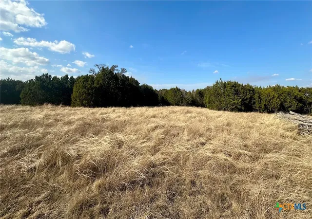 Photo 4 of Land for sale at Tbd Cr 299, Gatesville, TX 76528 | MLS# 610498 | Listing updated on 2026-08-10