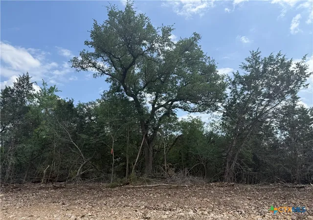 Photo 3 of Land for sale at Tbd Lot 49 Juniper Ridge, Salado, TX 76571 | MLS# 611032 | Listing updated on 2026-09-15
