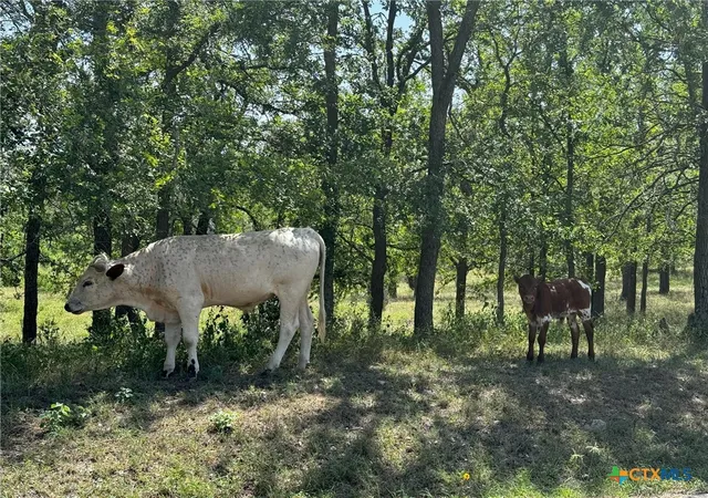 Photo 4 of Land for sale at 281 Chimney Cvs Dr, Marble Falls, TX 78654 | MLS# 611129 | Listing updated on 2026-08-12