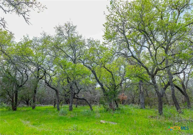 Photo 3 of Land for sale at 910 Abbey Rd, Liberty Hill, TX 78642 | MLS# 611176 | Listing updated on 2026-09-01