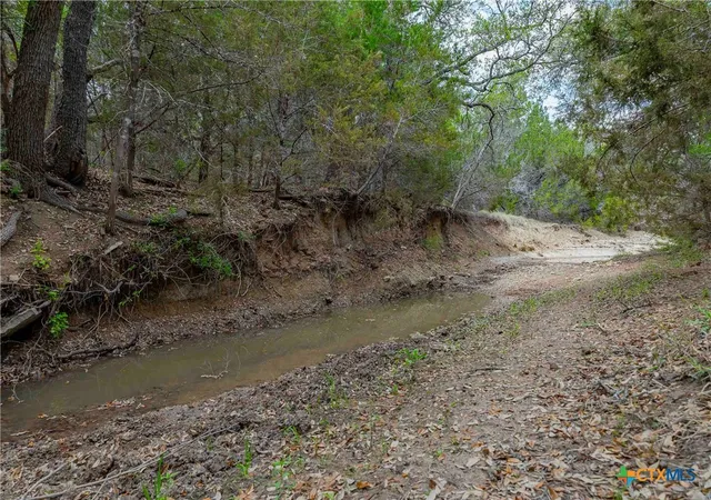 Photo 4 of Land for sale at 910 Abbey Rd, Liberty Hill, TX 78642 | MLS# 611176 | Listing updated on 2026-09-01