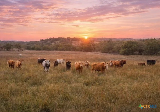 Photo 3 of Land for sale at 0 Limestone Holw, Wimberley, TX 78676 | MLS# 611357 | Listing updated on 2026-09-10