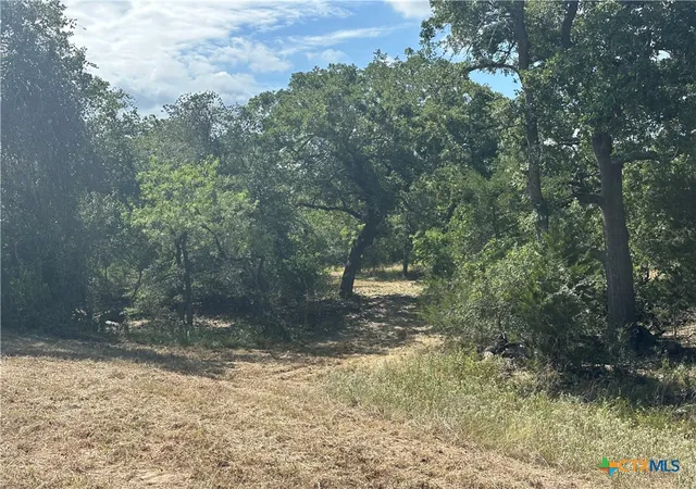 Photo 1 of Land for sale at 590 Coastal Ln, Luling, TX 78648 | MLS# 611861 | Listing updated on 2026-08-21
