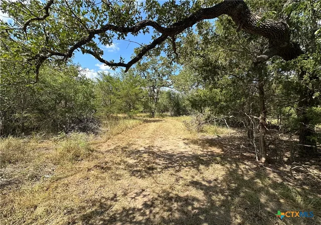 Photo 2 of Land for sale at 590 Coastal Ln, Luling, TX 78648 | MLS# 611861 | Listing updated on 2026-08-21