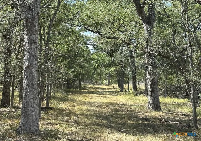 Photo 2 of Land for sale at 650 Coastal Ln, Luling, TX 78648 | MLS# 611866 | Listing updated on 2026-09-08