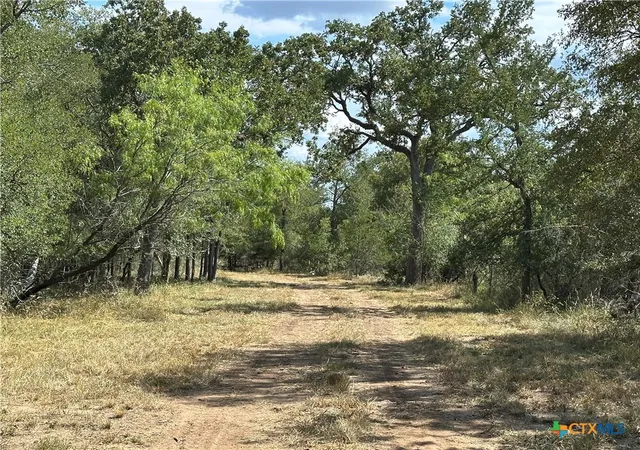 Photo 3 of Land for sale at 650 Coastal Ln, Luling, TX 78648 | MLS# 611866 | Listing updated on 2026-09-08