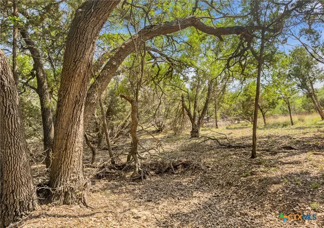 Photo 1 of Land for sale at 369 Onion Crk Ln, Blanco, TX 78606 | MLS# 612025 | Listing updated on 2026-08-12