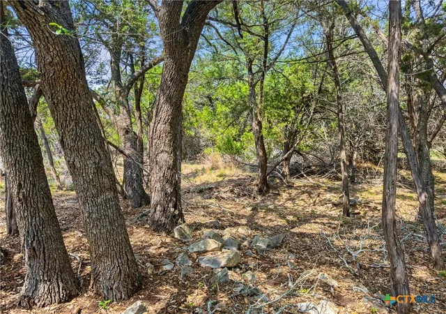 Photo 2 of Land for sale at 369 Onion Crk Ln, Blanco, TX 78606 | MLS# 612025 | Listing updated on 2026-08-12