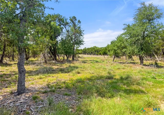 Photo 3 of Land for sale at 369 Onion Crk Ln, Blanco, TX 78606 | MLS# 612025 | Listing updated on 2026-08-12