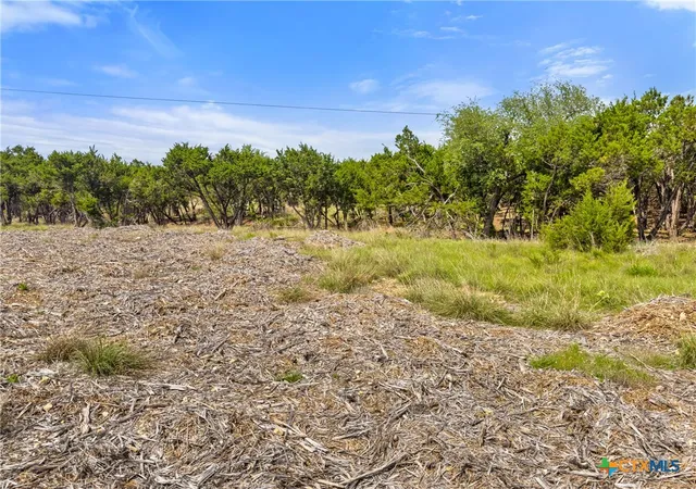 Photo 4 of Land for sale at 369 Onion Crk Ln, Blanco, TX 78606 | MLS# 612025 | Listing updated on 2026-08-12