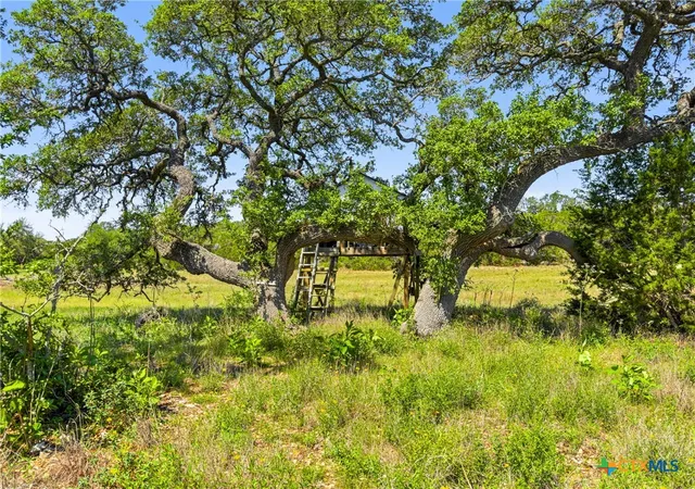 Land for sale at 163 N Stallion Ests Dr, Spring Branch, TX 78070 | MLS# 612723 | Listing updated on 2026-08-12