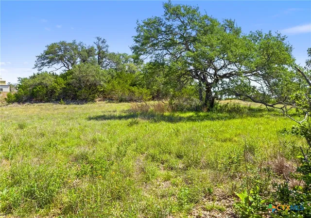 Photo 2 of Land for sale at 163 N Stallion Ests Dr, Spring Branch, TX 78070 | MLS# 612723 | Listing updated on 2026-08-12