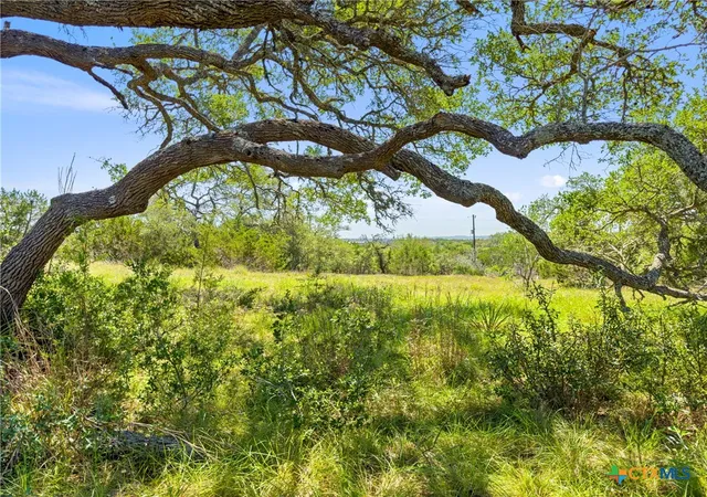 Photo 3 of Land for sale at 163 N Stallion Ests Dr, Spring Branch, TX 78070 | MLS# 612723 | Listing updated on 2026-08-12