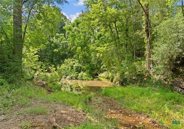 Photo 3 of House for sale at Tbd (tracts 11 & 12) St Delight, Paige, TX 78659 | MLS# 613603 | Listing updated on 2026-08-27