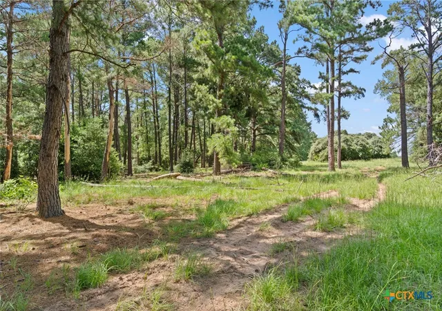 Photo 4 of House for sale at Tbd (tracts 11 & 12) St Delight, Paige, TX 78659 | MLS# 613603 | Listing updated on 2026-08-27