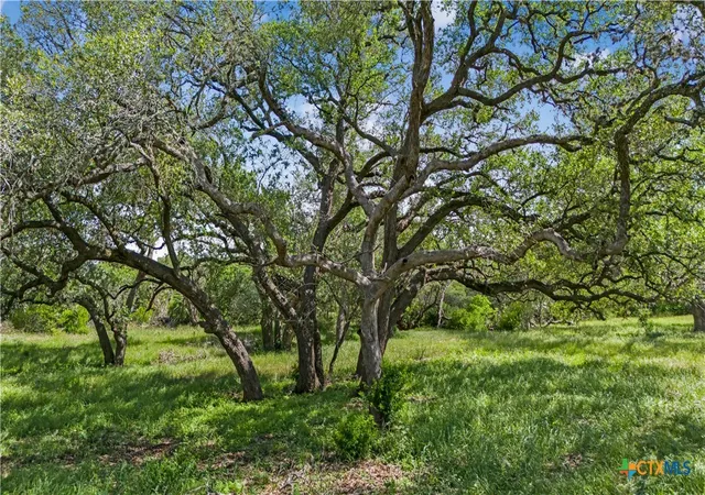 Photo 3 of Land for sale at 5394 Fm 237, Meyersville, TX 77974 | MLS# 614766 | Listing updated on 2026-10-01