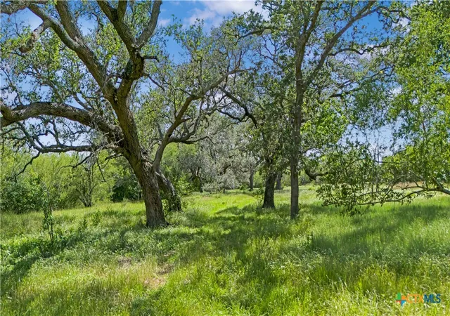 Photo 3 of Land for sale at 5394 Fm 237, Meyersville, TX 77974 | MLS# 614766 | Listing updated on 2026-10-01