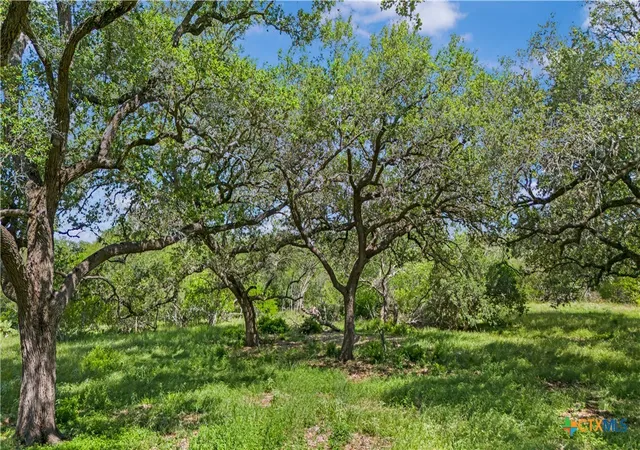 Photo 4 of Land for sale at 5394 Fm 237, Meyersville, TX 77974 | MLS# 614766 | Listing updated on 2026-10-01