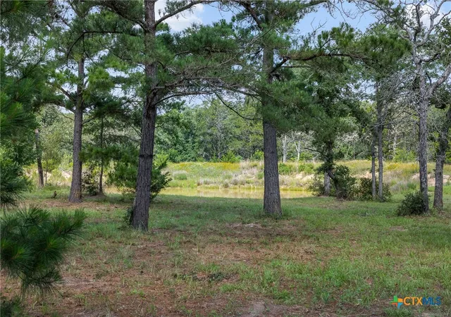 Photo 1 of Land for sale at 305 Cistern Rd, Rosanky, TX 78953 | MLS# 615171 | Listing updated on 2026-08-30