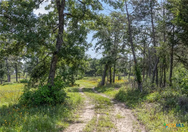 Photo 2 of Land for sale at 305 Cistern Rd, Rosanky, TX 78953 | MLS# 615171 | Listing updated on 2026-08-30