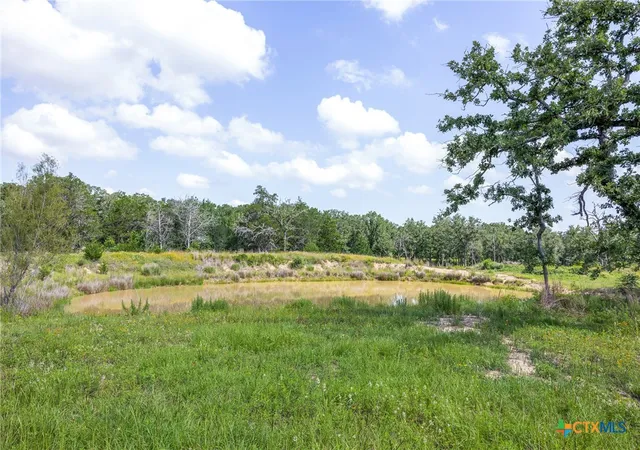 Photo 3 of Land for sale at 305 Cistern Rd, Rosanky, TX 78953 | MLS# 615171 | Listing updated on 2026-08-30