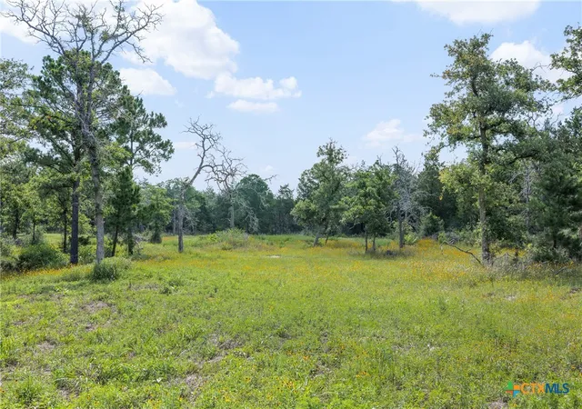 Photo 4 of Land for sale at 305 Cistern Rd, Rosanky, TX 78953 | MLS# 615171 | Listing updated on 2026-08-30