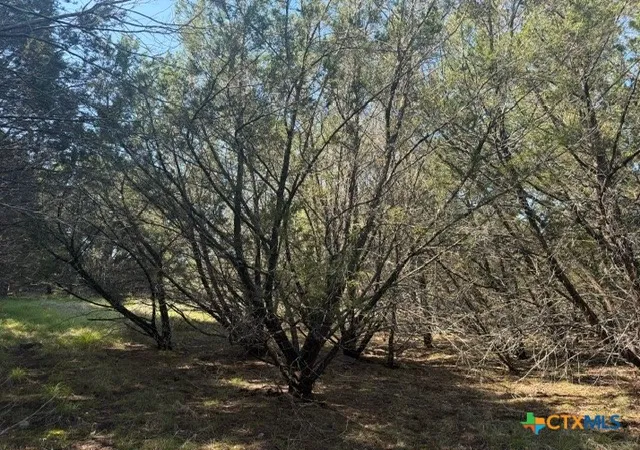Photo 21 of Land for sale at Tbd County Rd 2644, Lometa, TX 76853 | MLS# 615211 | Listing updated on 2026-08-25