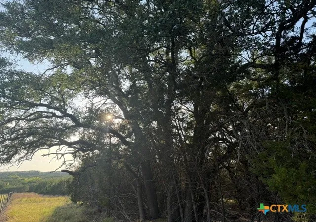 Photo 2 of Land for sale at Tbd County Rd 2644, Lometa, TX 76853 | MLS# 615211 | Listing updated on 2026-08-25