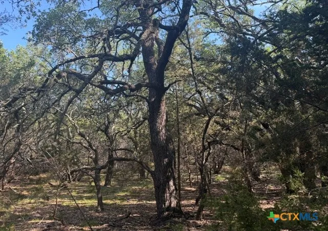 Photo 3 of Land for sale at Tbd County Rd 2644, Lometa, TX 76853 | MLS# 615211 | Listing updated on 2026-08-25