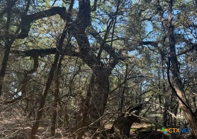 Photo 4 of Land for sale at Tbd County Rd 2644, Lometa, TX 76853 | MLS# 615211 | Listing updated on 2026-08-25