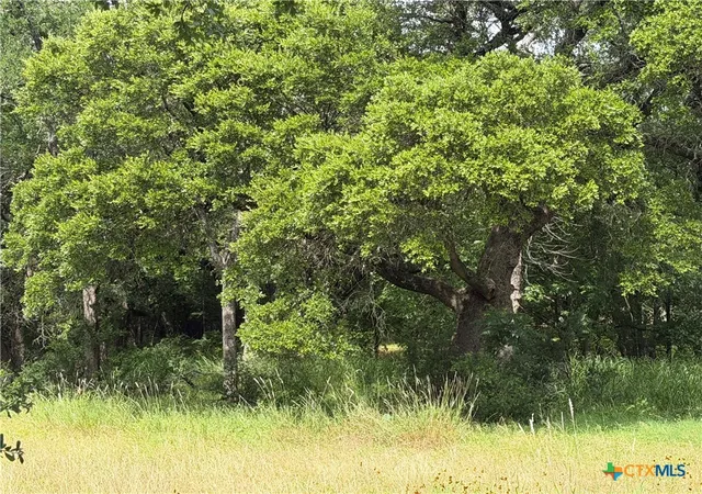 Photo 3 of Land for sale at 742 Mckay Ln, Salado, TX 76571 | MLS# 615350 | Listing updated on 2026-08-06