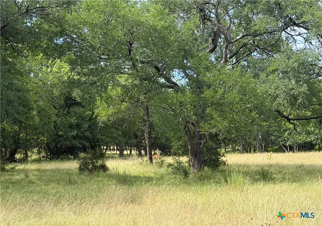 Photo 3 of Land for sale at 742 Mckay Ln, Salado, TX 76571 | MLS# 615350 | Listing updated on 2026-08-06