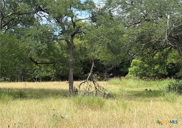 Photo 4 of Land for sale at 742 Mckay Ln, Salado, TX 76571 | MLS# 615350 | Listing updated on 2026-08-06