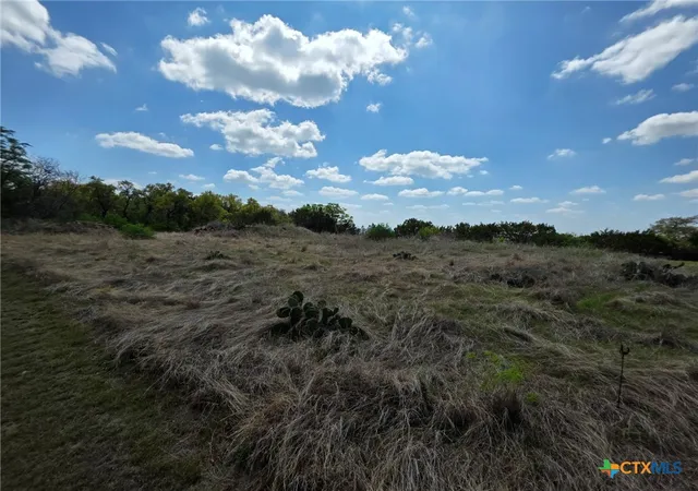 Photo 2 of Land for sale at 21695 Fm 2484, Killeen, TX 76542 | MLS# 616070 | Listing updated on 2026-08-04
