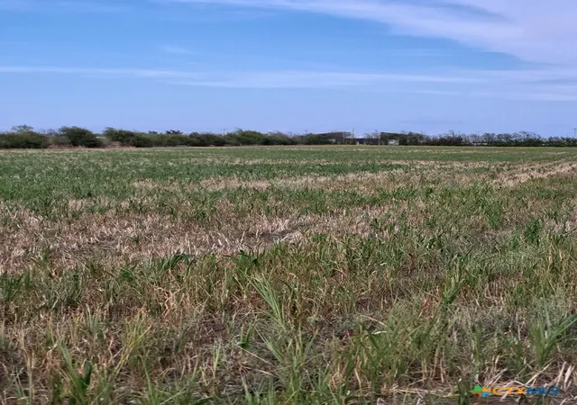 Photo 1 of Land for sale at 1701 W Fm 487, Jarrell, TX 76537 | MLS# 616939 | Listing updated on 2026-06-15