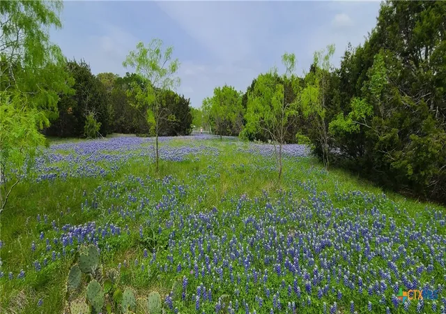 Photo 1 of Sale Pending at Tbd Us Hwy 190 E, Kempner, TX 76539 | MLS# 618222 | Listing updated on 2026-09-02