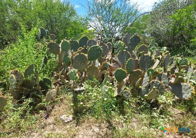 Photo 23 of Sale Pending at 271 Prairie 1266, Gillett, TX 78116 | MLS# 618730 | Listing updated on 2026-09-07