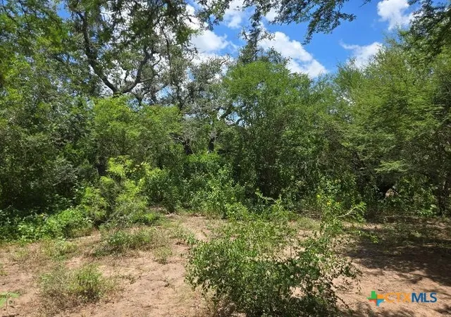 Photo 4 of Sale Pending at 271 Prairie 1266, Gillett, TX 78116 | MLS# 618730 | Listing updated on 2026-09-07