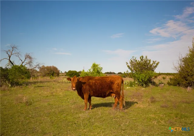 Photo 4 of House for sale at 1843 Savanna Ridge Ranch Rd, Lometa, TX 76853 | MLS# 619027 | Listing updated on 2026-09-11