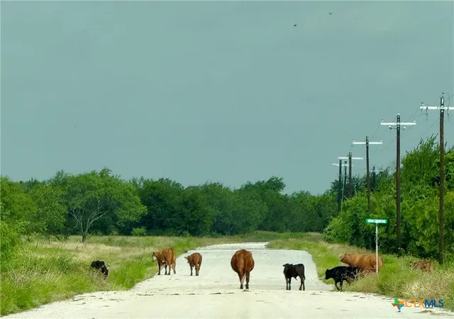 Photo 3 of Land for sale at 0 Pitchfork Ranch Rd, Copperas Cove, TX 76522 | MLS# 620107 | Listing updated on 2026-09-15
