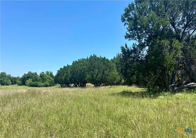 Photo 2 of Land for sale at 34 County Rd 340, Mc Gregor, TX 76657 | MLS# 620155 | Listing updated on 2026-08-28