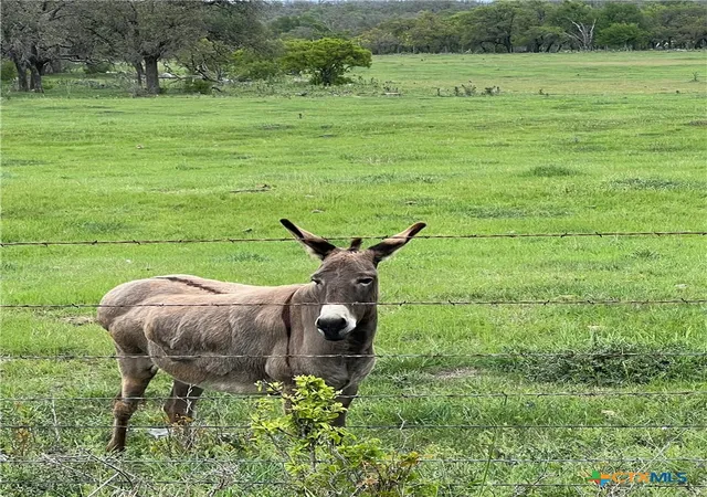 Photo 1 of Land for sale at 99 Axis Cir, Fredericksburg, TX 78624 | MLS# 620187 | Listing updated on 2026-08-05