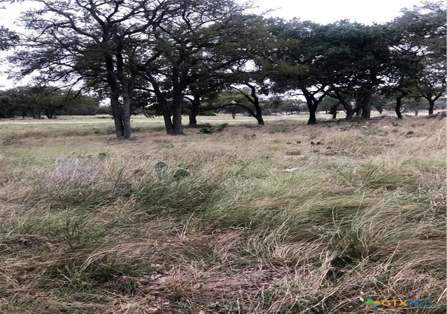 Photo 3 of Land for sale at 99 Axis Cir, Fredericksburg, TX 78624 | MLS# 620187 | Listing updated on 2026-08-05