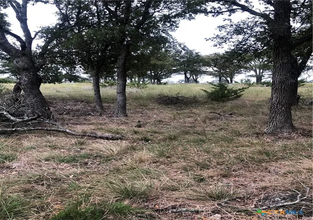 Photo 4 of Land for sale at 99 Axis Cir, Fredericksburg, TX 78624 | MLS# 620187 | Listing updated on 2026-08-05