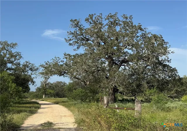 Photo 3 of Land for sale at 0 Batey Ranch Rd, Nixon, TX 78140 | MLS# 620257 | Listing updated on 2026-08-19